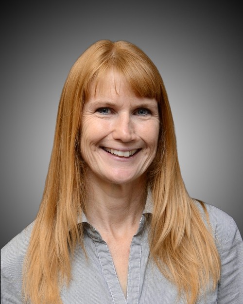 laurie lindamer phd director of education