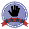 four star volunteer badge