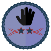 two star volunteer badge
